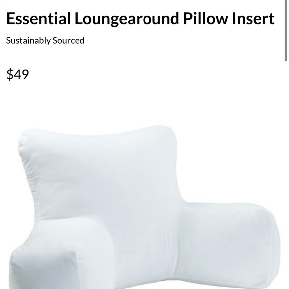 lounge around pillow insert